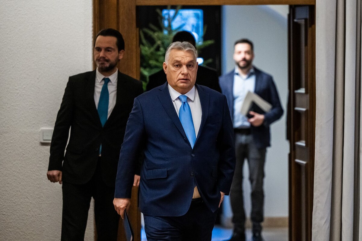     / Источник: © Global Look Press