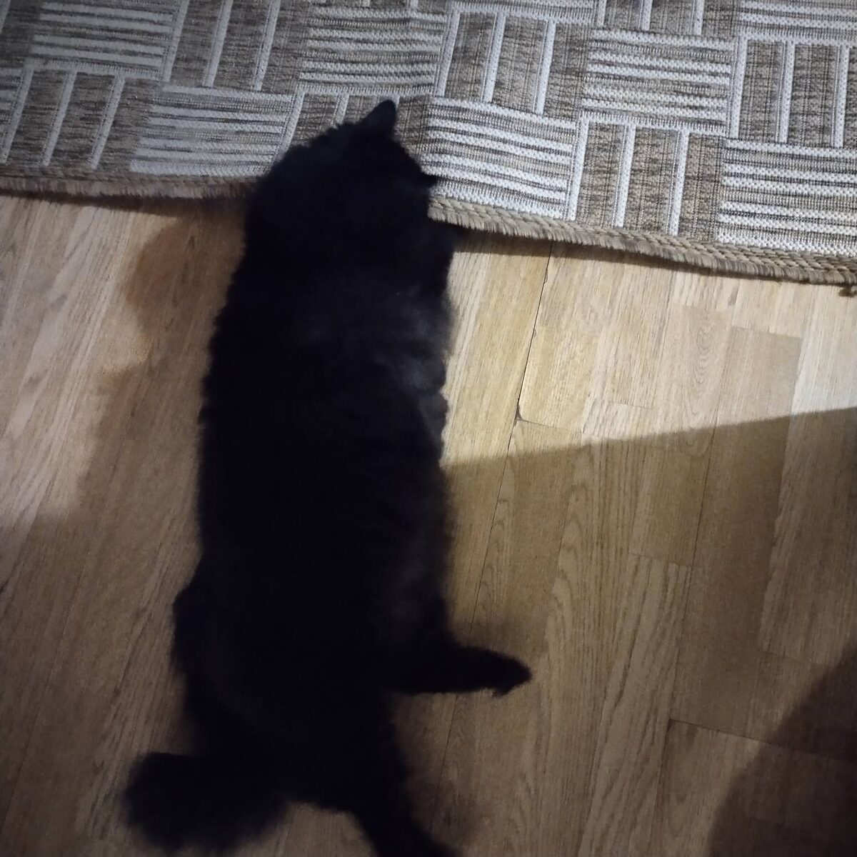 Что-то лежит под ковром.