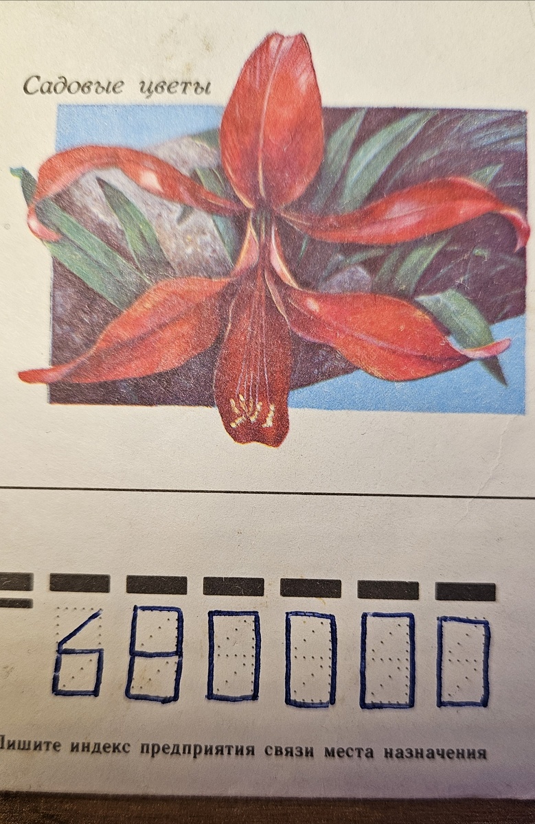 Письмо от сестры Лены. (Фотография автора.)