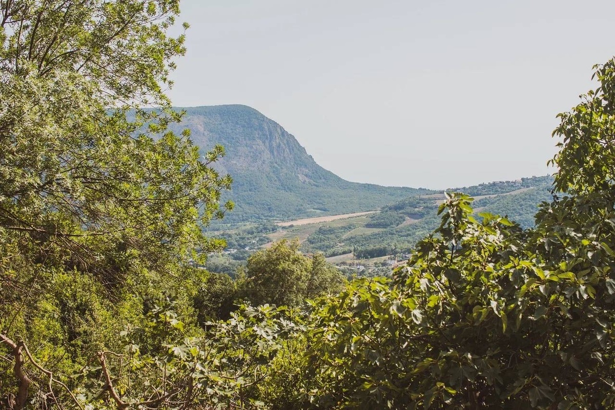 Крым — это не только живописные пейзажи, теплое море и богатая история. Этот полуостров становится все более привлекательным местом для инвестиций в курортную недвижимость. Если вы еще не задумывались о том, чтобы вложить свои средства в этот регион, вот пять весомых причин, почему стоит начать год с инвестиций в курортную недвижимость в Крыму.