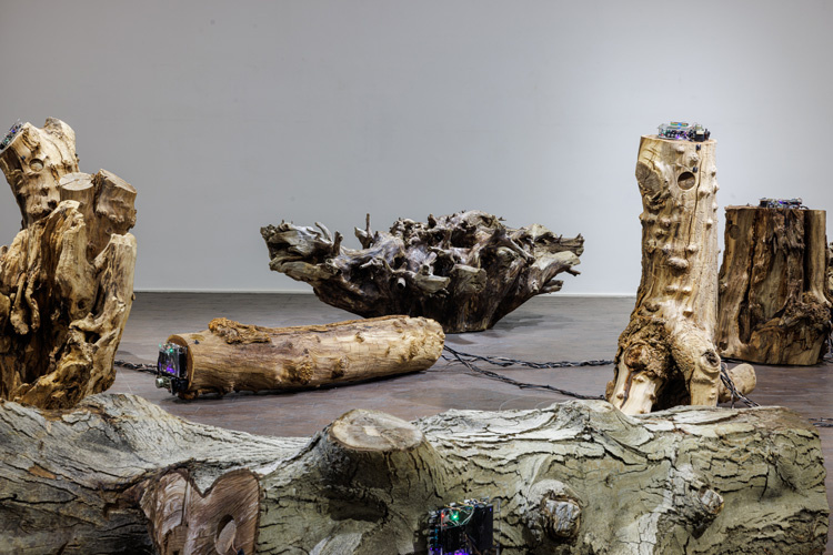 Эльнара Насирли. Шепчущий лес. 2024