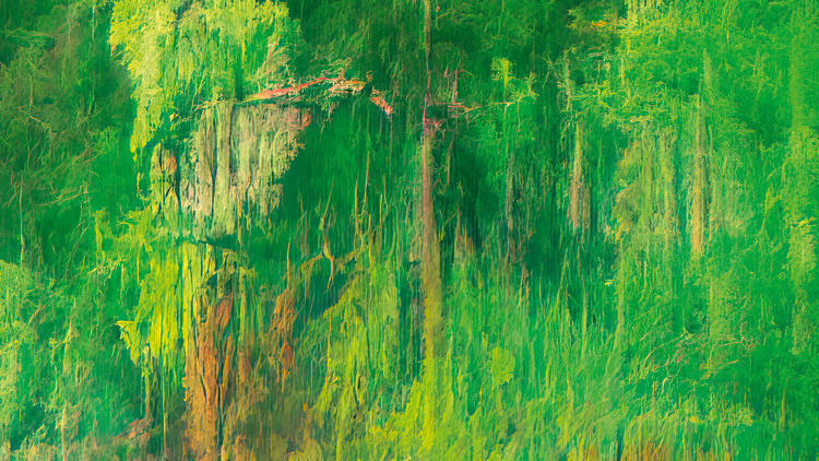 Майкл Такео Магрудер. Реконструированный ландшафт – Хидкот-Бартрим. 2023