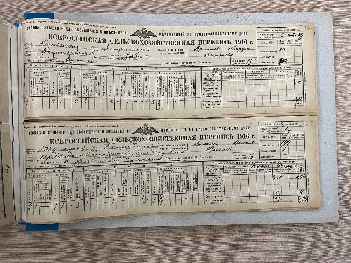 Переписная карточка Аршинова Михаила Степановича и его семьи. ГУ «ГАТО» Ф. 4. Оп. 6. Д. 47. Л. 335.