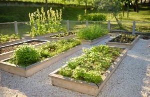 Фото из архива