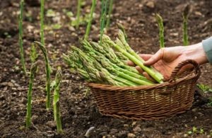 Фото из архива