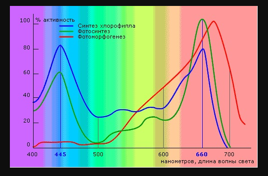 Влияние спектра света на рост растений. фото с сайта polikarbonates.com