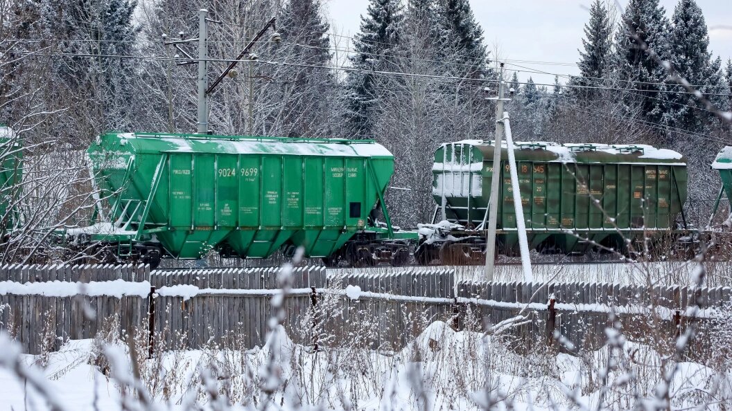    Елена Майорова/Global Look Press