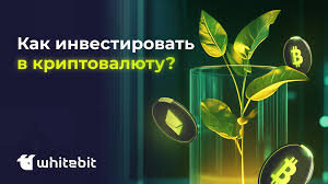 Как инвестировать в криптовалюту: Пошаговое руководство для начинающих и профессионалов 