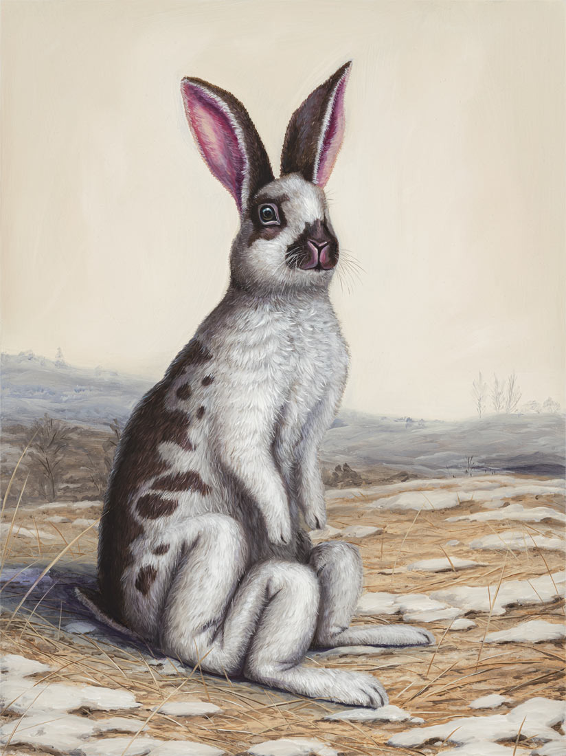 Талисман на удачу. Источник: https://brunopontiroli.fr/