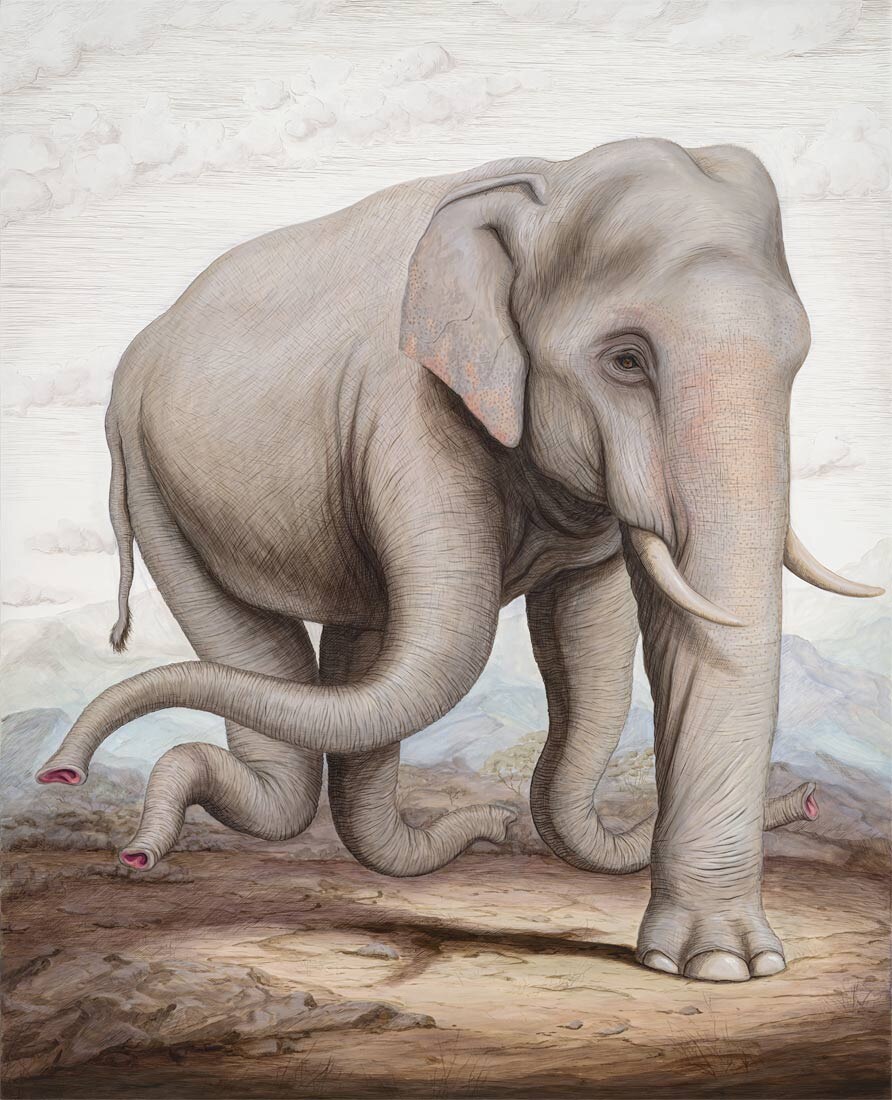 Слон никогда не ошибается. Источник: https://brunopontiroli.fr/