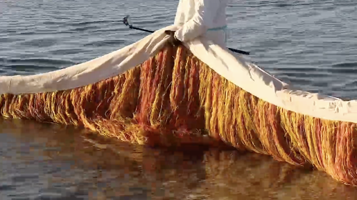    Фото: Оперативный штаб Краснодарского края