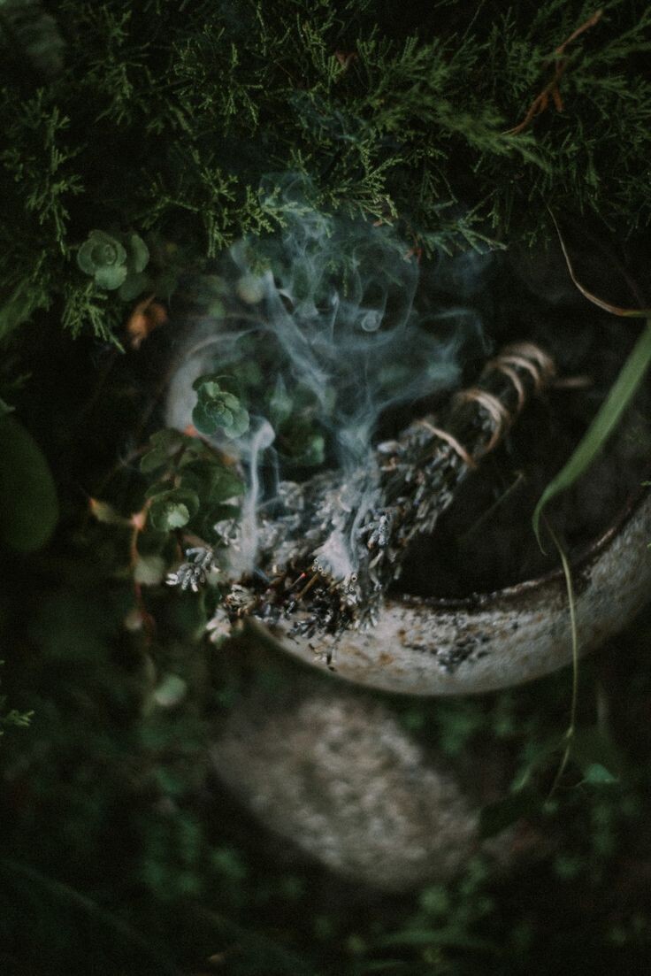 Магия зимних трав и специй | Имболк | Pink Witch