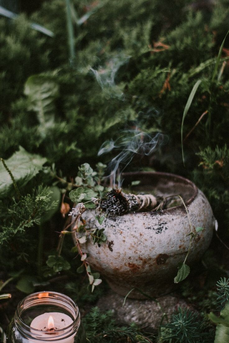 Магия зимних трав и специй | Имболк | Pink Witch