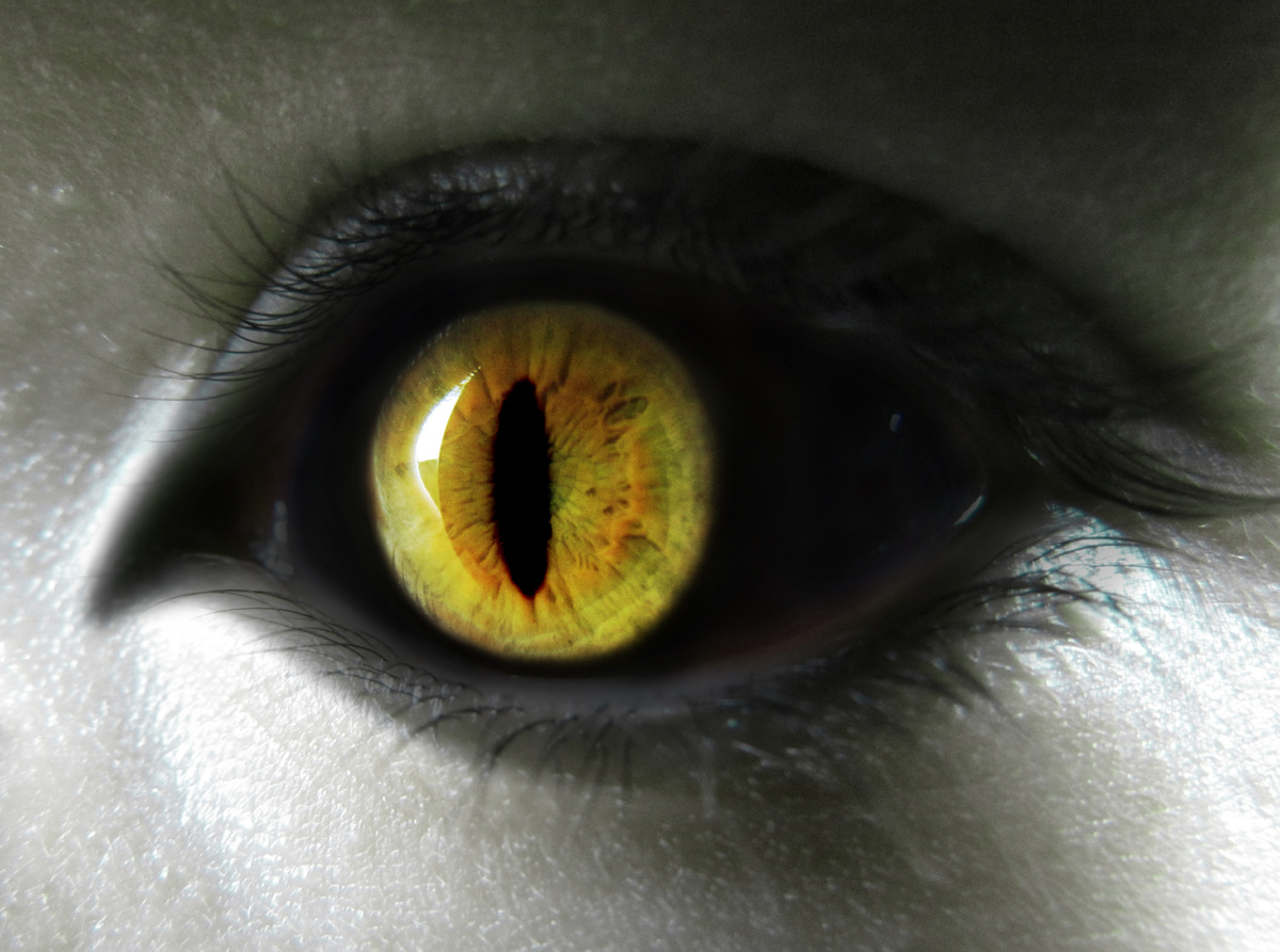 Из открытого доступа в Интернете