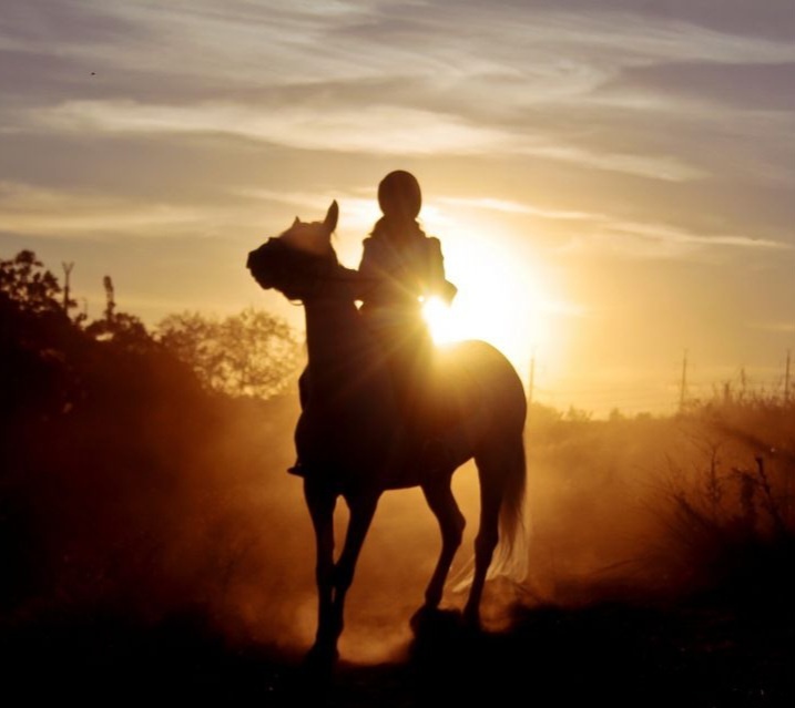 Фото из Интернета