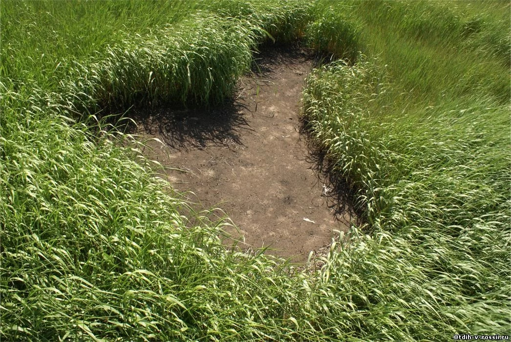 Следы посадок НЛО на Медведицкой Гряде.