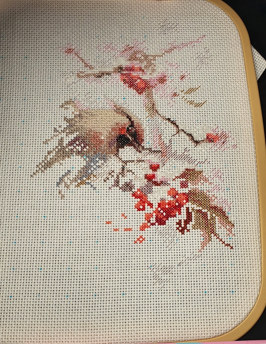 Утро 15.01.2025г