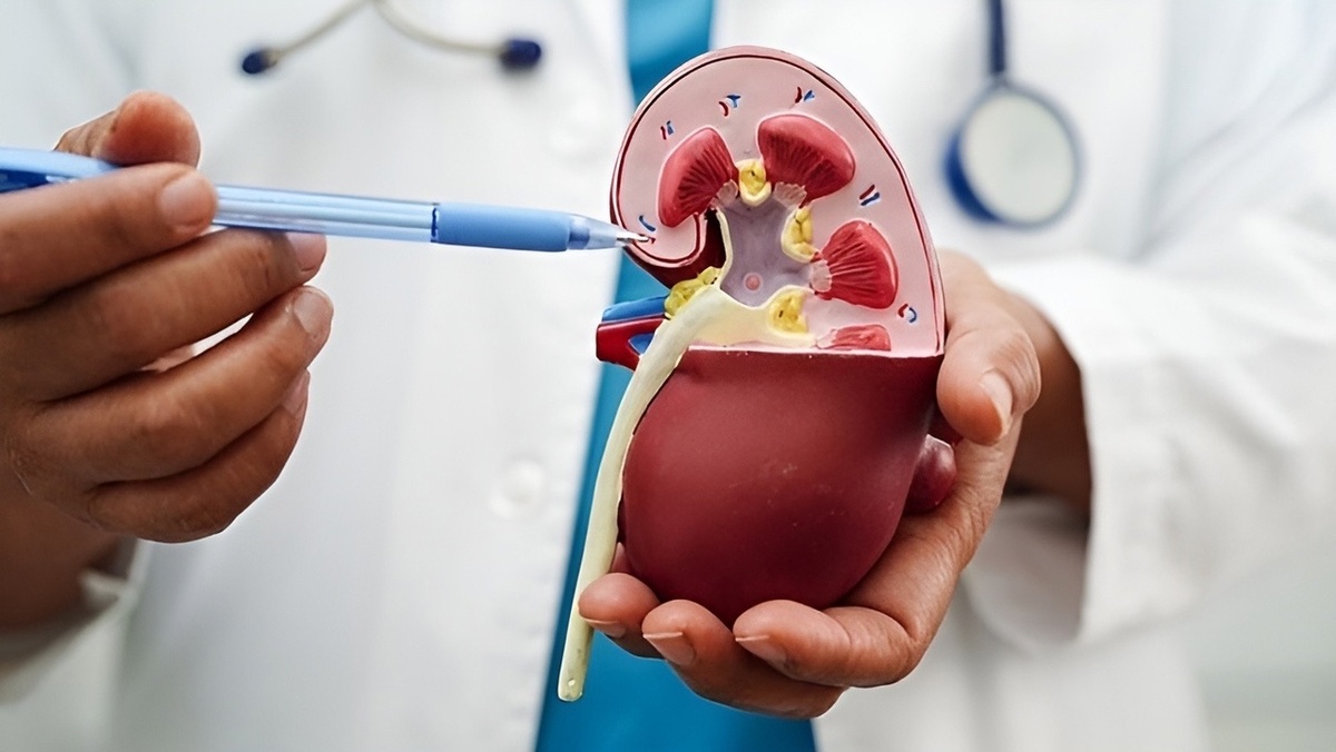 Амилоидоз почек