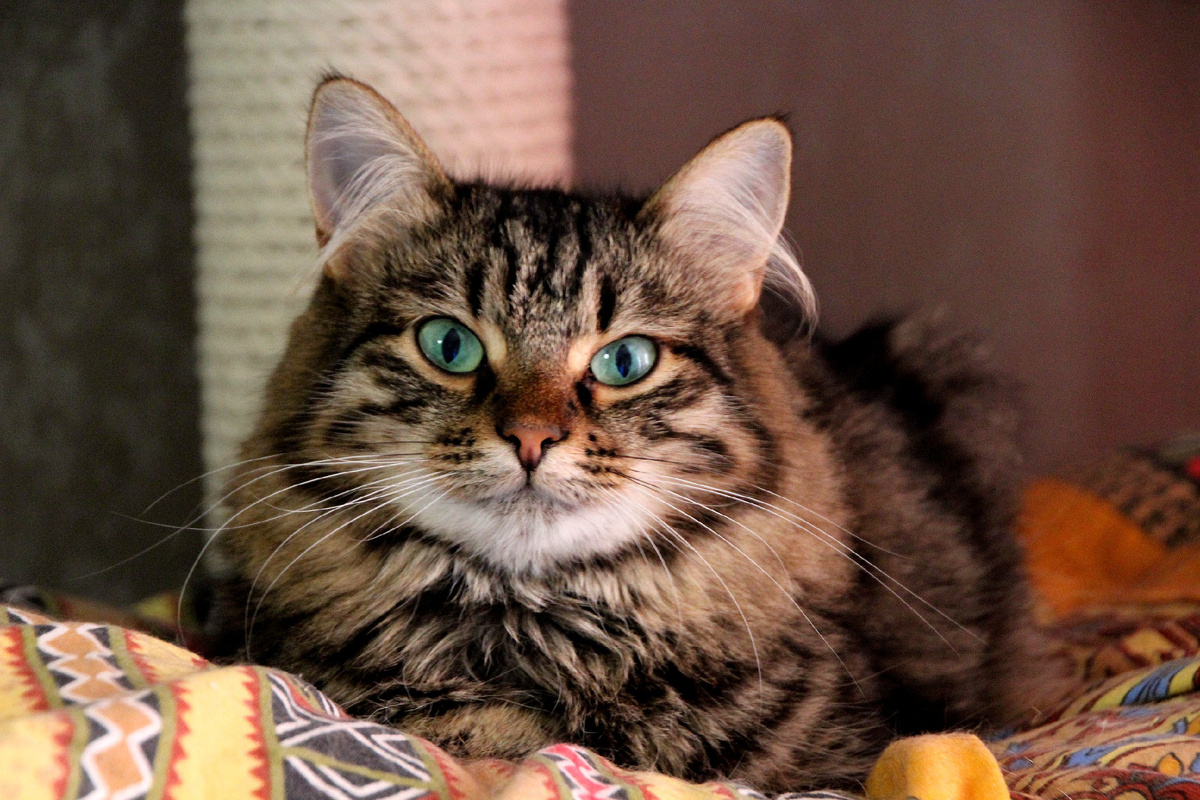 Давненько я тут в Банде Дворян не расписывалась!