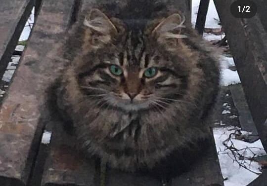 Вообще не люблю перемены, вот и не двигалась