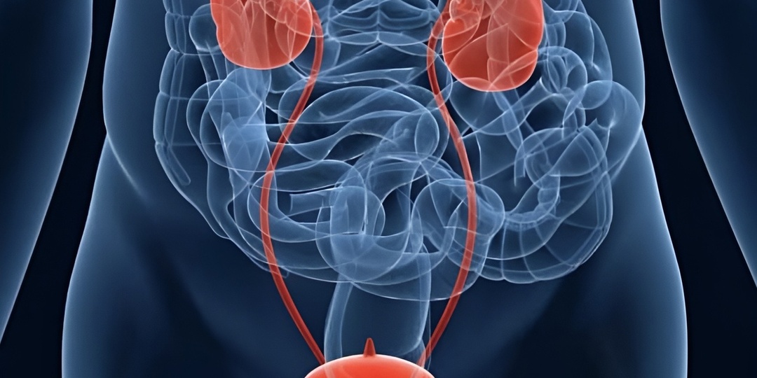 Причины возникновения мужского цистита