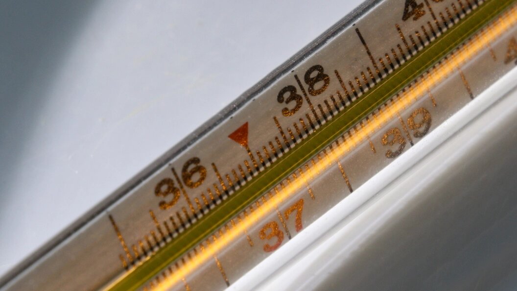    Aleksander Polyakov/Globallookpress