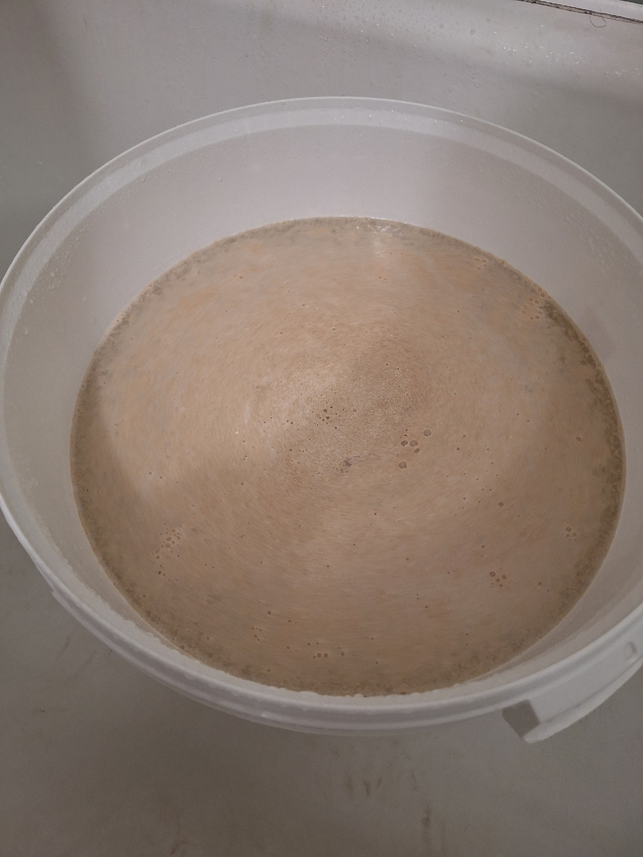 Сахарная брага