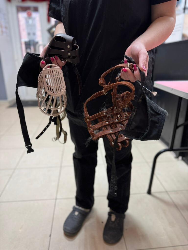 Намордники для крупных собак