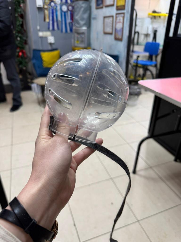 Намордник для кошек