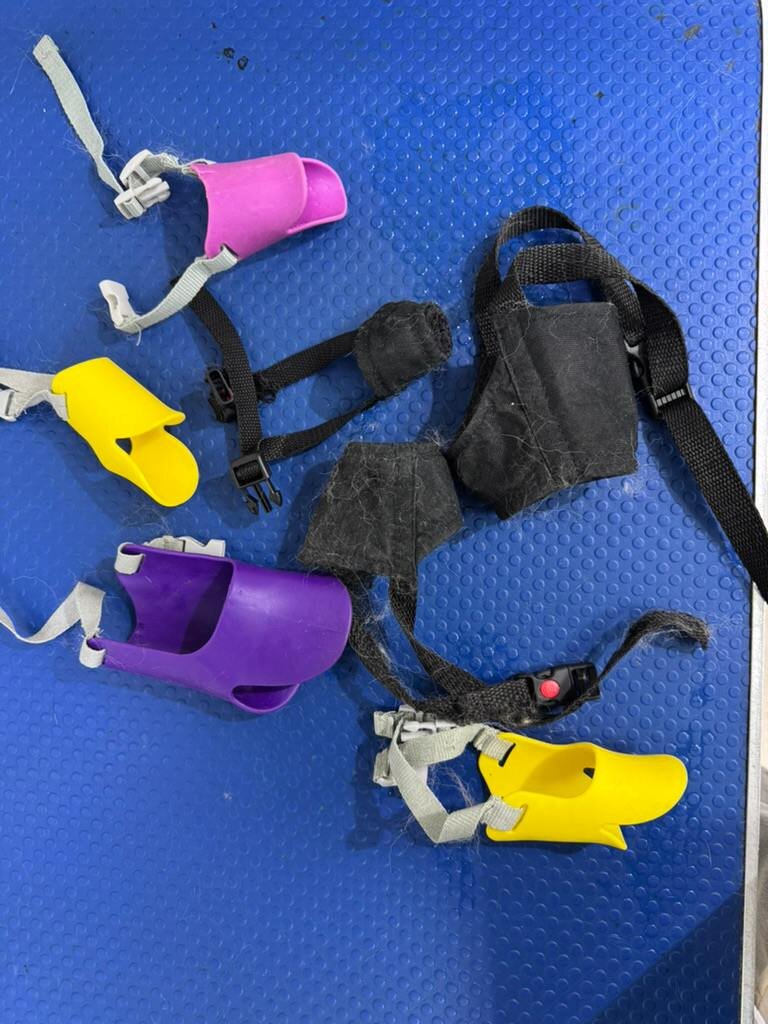 Намордники для маленьких и средних собак