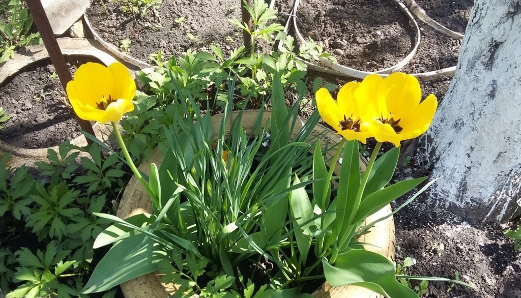 Фото из архива