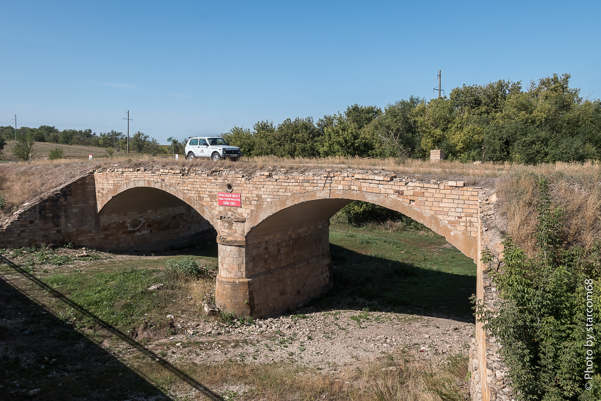 Белка на Красном мосту через русло реки Сухой Иргиз