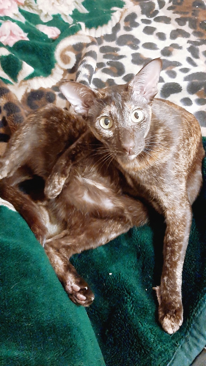 Мамуль, не хочешь обсудить со мной смету на мое содержание? По-моему ощущается какая-то излишняя экономия. 