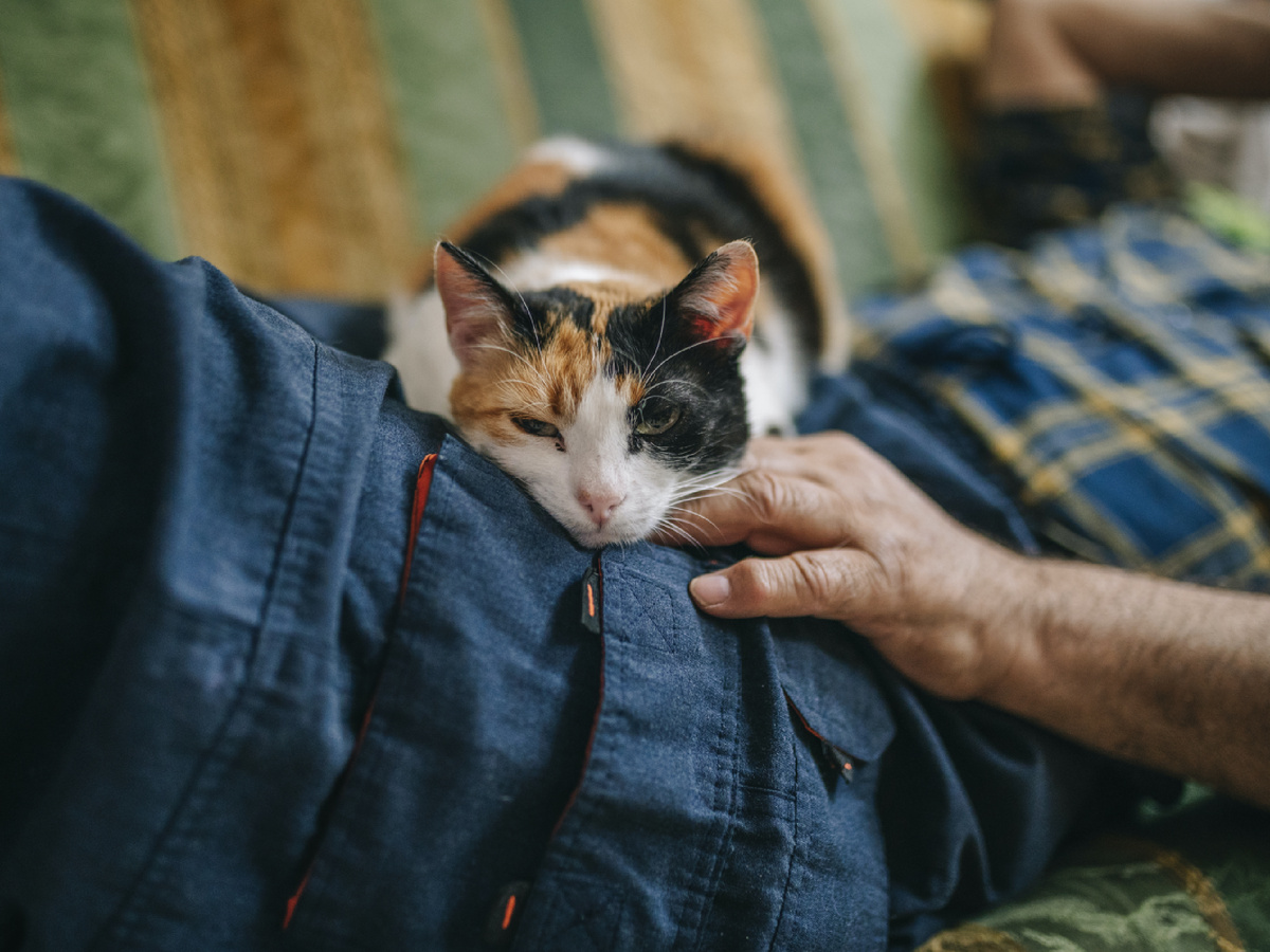 Фотография: Ivan Radic, CC BY 2.0