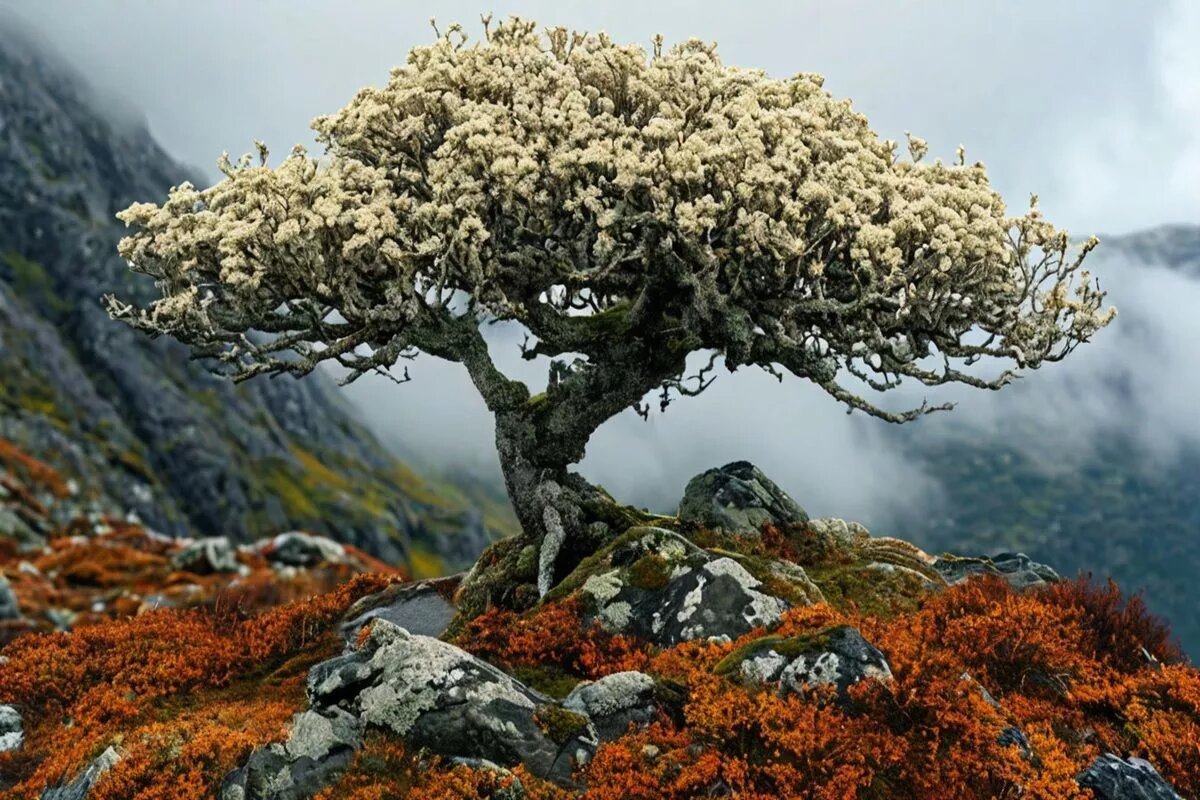 Из ягеля может получиться отличный бонсай, он станет украшением любого интерьера.
Фото: Нейросеть shedevrum.ai