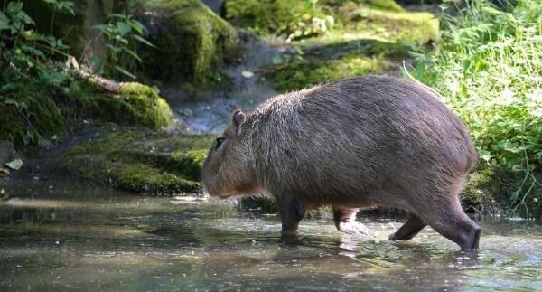    РИА «Новости»