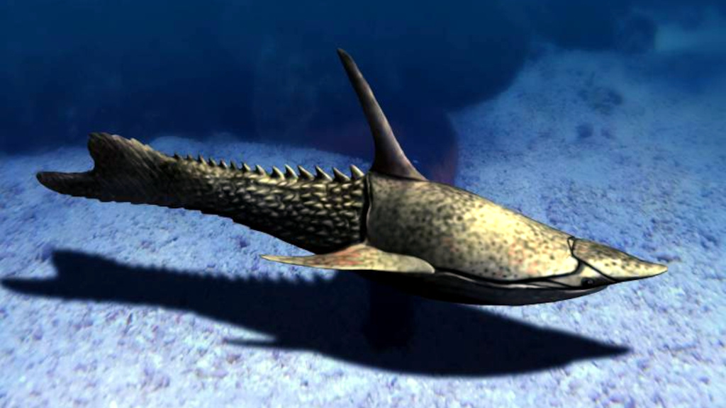 Остракодермы были довольно изрядной сборной солянкой. У некоторых ноздрей было две...