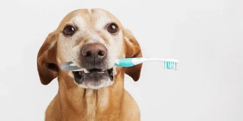 Картинка из нейросети