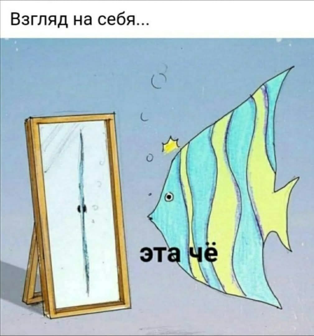 Фото из открытых источников интернет