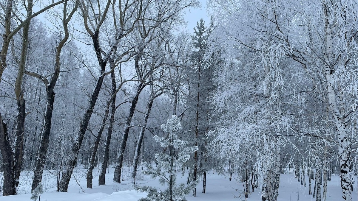     Источник: vostokmedia.com