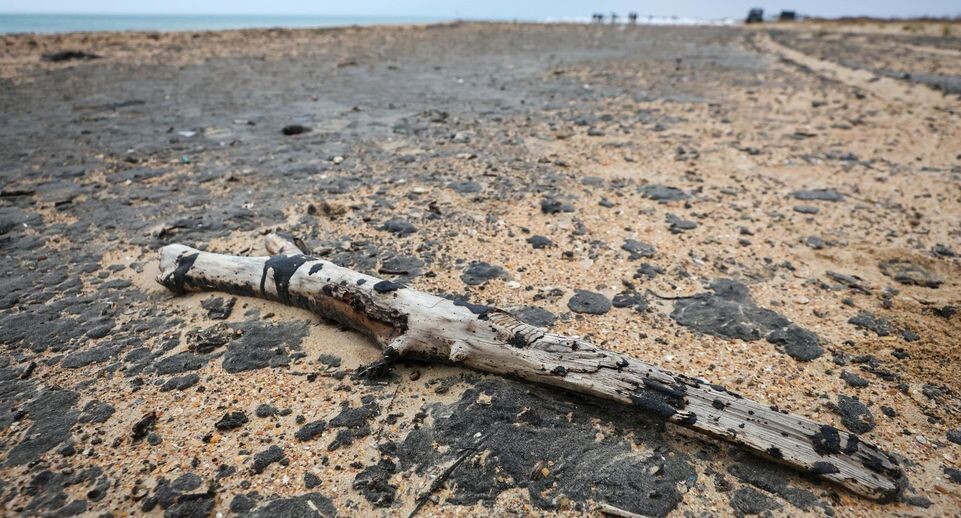    news.ru / Global Look Press