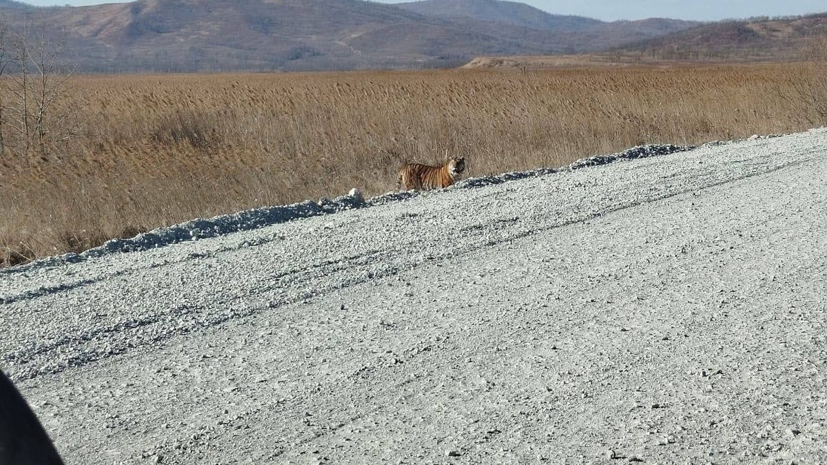     Источник: vdknews_25