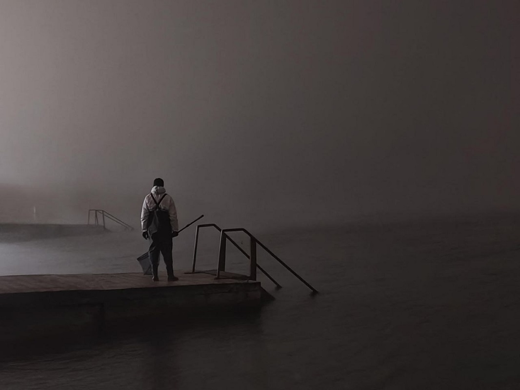 Волонтеры ловят измученных и испачканных мазутом птиц по ночам.  Фото: Фото: предоставлено Дианой Машковой