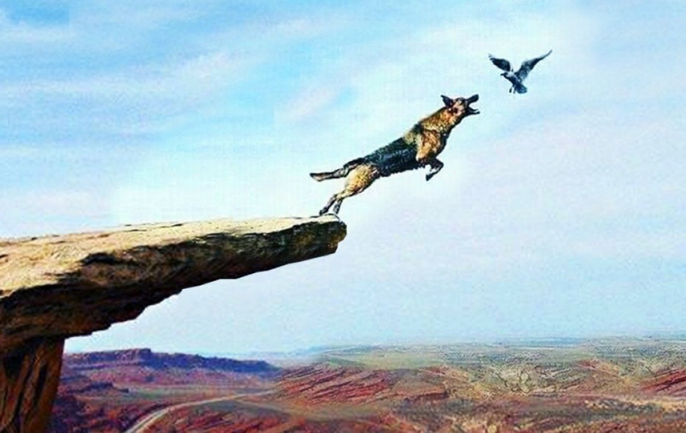 Картинка с просторов интернета