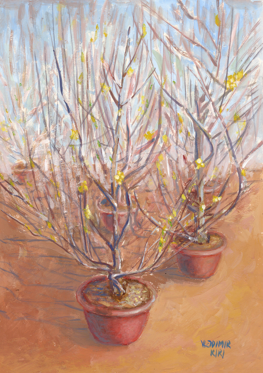 Иллюстрация 2.