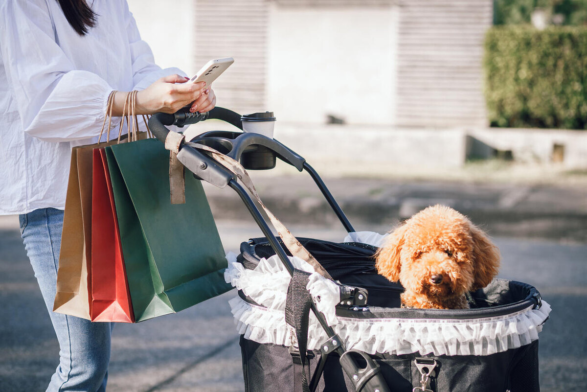     123RF/legion-media.ru