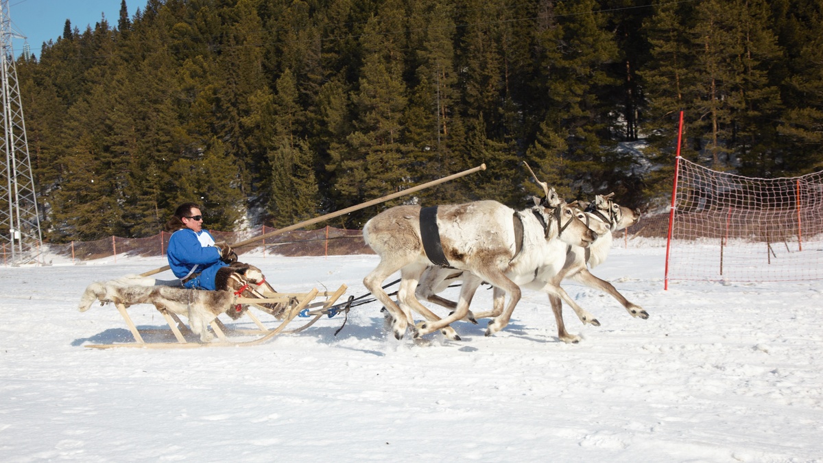   В Югре пополнился реестр объектов нематериального этнокультурного достояния
