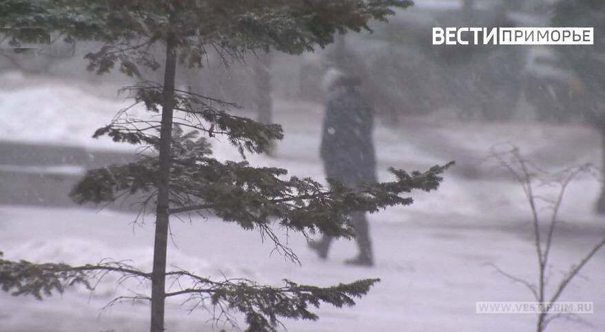    Источник фото: