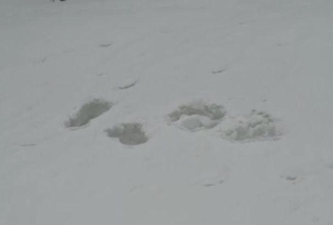 Фото: ИА «Камчатка» (архив)