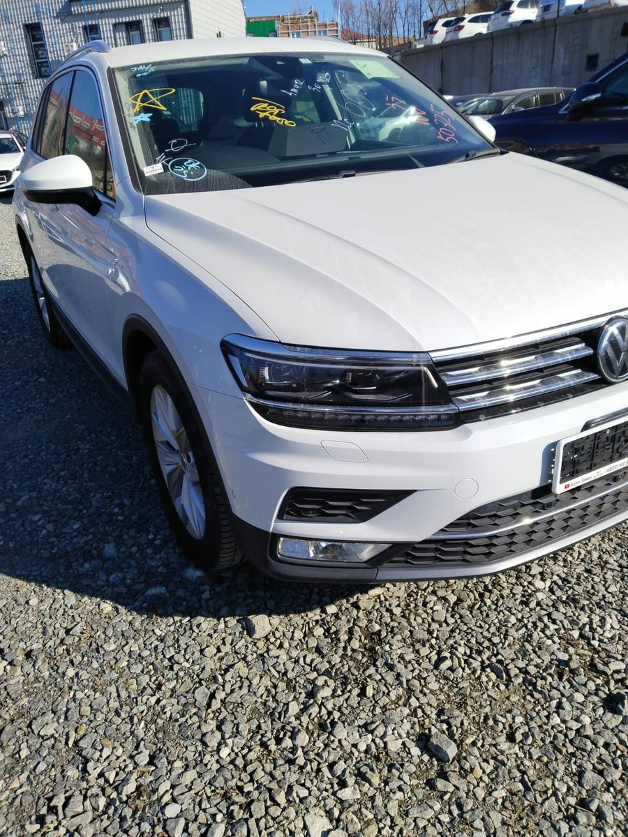 Украшенный необходимыми пометками Тигуан ожидал своей очереди в лабораторию.